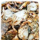 해강냉장 이미지