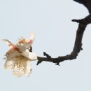 김해건설공업고등학교 이미지