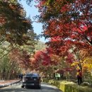 불곰산장민박 이미지