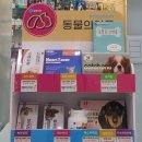 부개시장온누리약국 이미지