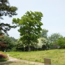 연천 고인돌공원 이미지