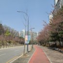 구갈로 이미지
