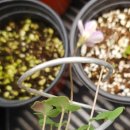 시랑 초등학교 이미지