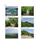 마니산이야기