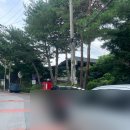 운교카페 | 춘천/사주카페 운교동 사주, 타로, 관상 <고릴라 사주카페> 소름 돋는 후기