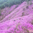 소계동130 | 창원 천주산 등산코스 달천계곡-진달래군락지-정상