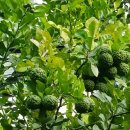 (주)몸부림 이미지