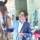 삼관목장 티스토리
