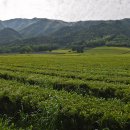 대한농장2 이미지