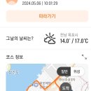 솔튼병원 Daum카페