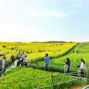 고창이네 이미지