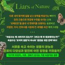 도서출판크리드