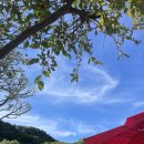 정남진장흥농협하나로마트 | 서울에서 30분 양주 일영계곡 하늘정원펜션 내돈내산 솔직 후기