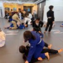 블랙벨트 체육관 | 서산 유일 주짓수 MMA 전문 체육관, 블랙벨트 관장 지도 후기