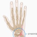 정도정형외과의원 이미지