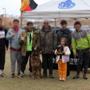 아마존애견사 이미지