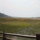 순천만공인중개사사무소 이미지