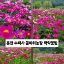 방량로농장 네이버블로그