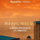 하하호호그룹 이미지