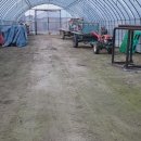 멍멍이네 이미지