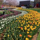 꽃지해안공원 이미지