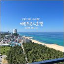 해송농장 | 강릉 숙소 애견동반 가능한 오션뷰 세인트존스호텔 후기 및 수영장 부대시설 소개