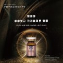 셀비아인