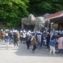 단양군시티투어 이미지