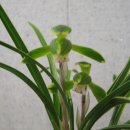 야로파출소 이미지