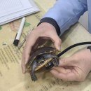 뉴월드동물병원 이미지