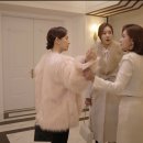 스텔라정