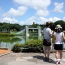 소인국테마파크 이미지