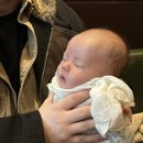 미사린소아청소년과의원 | 하남 미사린 소아청소년과의원 귀교정 후기(귀교정 준비물, 가격, 보험, 소이증, 접힌귀)