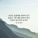 오해와 편견. 이미지