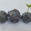 미상지유치원 이미지