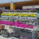 홍천휴게주유소 이미지