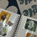 멍문사립유치원 리틀멈머 이미지