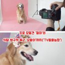 오팔농장 이미지