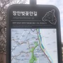 벚꽃길민박 이미지