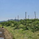 도곡농장2 이미지