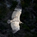 파리바게뜨 포항유강점 | 포항시 북구 파리바게뜨 포항유강점, 위치, 영업시간, 후기