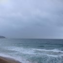 블루오션관광펜션 이미지