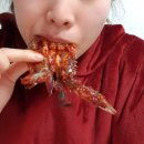 가미찬 | 네이버 스토어팜 게장 맛집[가미찬]살이 꽉꽉찬 게장으로 중독성있는 맛!