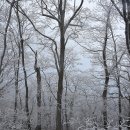 설국, 그 원로(園路)를 걷다 - 한강기맥 보래봉 부근 이미지