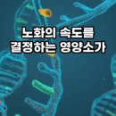 단백질 함량이 높은 음식들 이미지