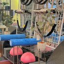 휘트니스인X필라테스인 이미지