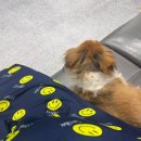 청주미즈맘산부인과의원 이미지