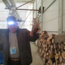 노지하우스 이미지