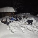 고메똥골 이미지