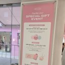 바닐라코 성수 플래그십 스토어 이벤트, 할인 받고 내돈내산 쿠션 구매후기